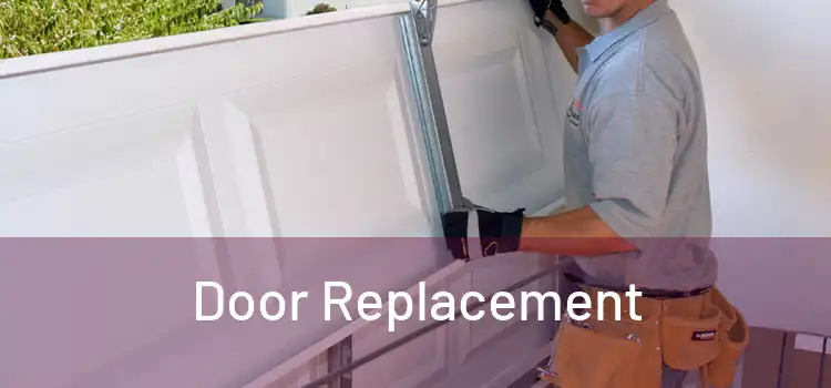  Door Replacement 